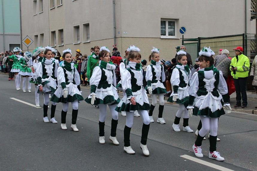 N&auml;rrinnen und Narren trotzen Wetter (1)