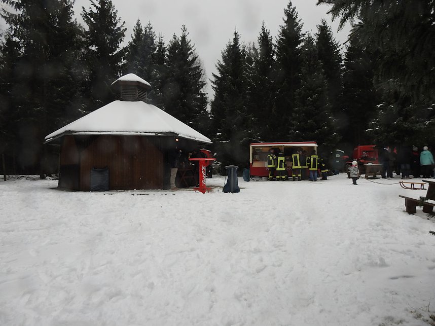 Schlittenhunderennen 2016 in Benneckenstein