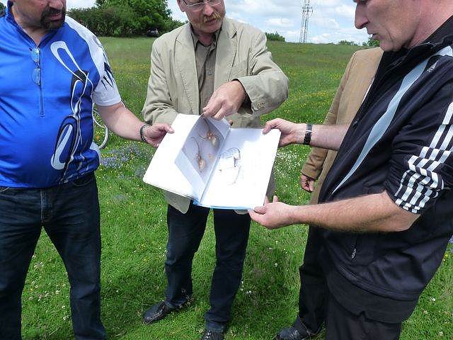 Ausgrabungen Frauenberg