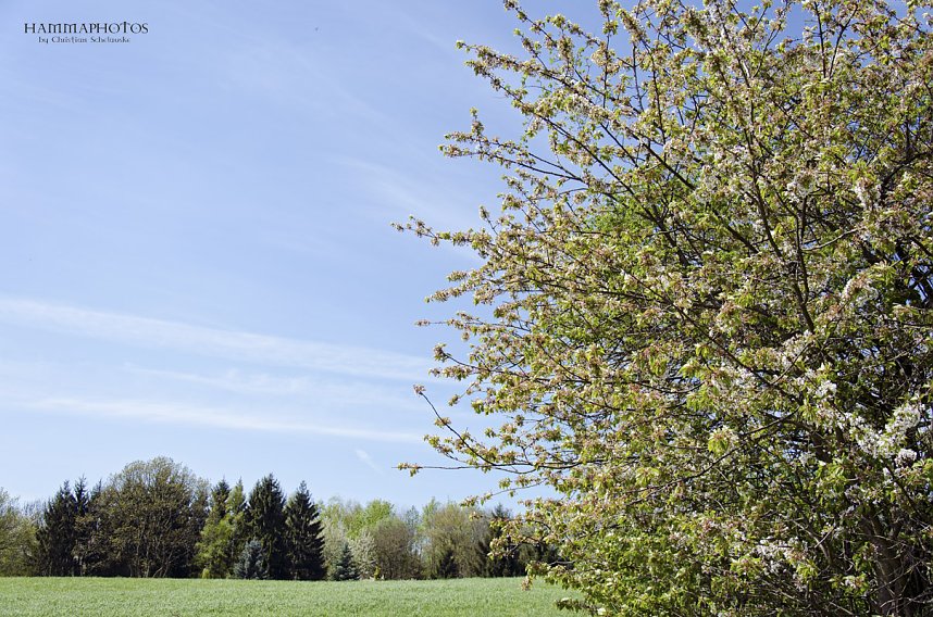 Unterwegs im Naturpark S&uuml;dharz