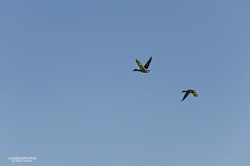 Auf der Unstrut unterwegs