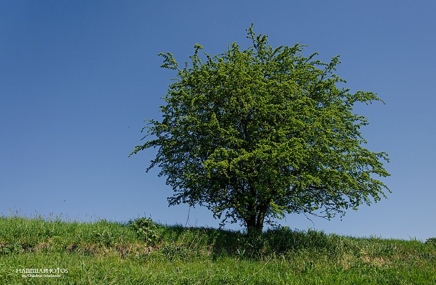Auf der Unstrut unterwegs