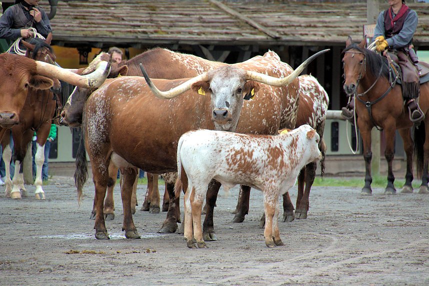 Impressionen aus Pullmann City II in Harzgerode