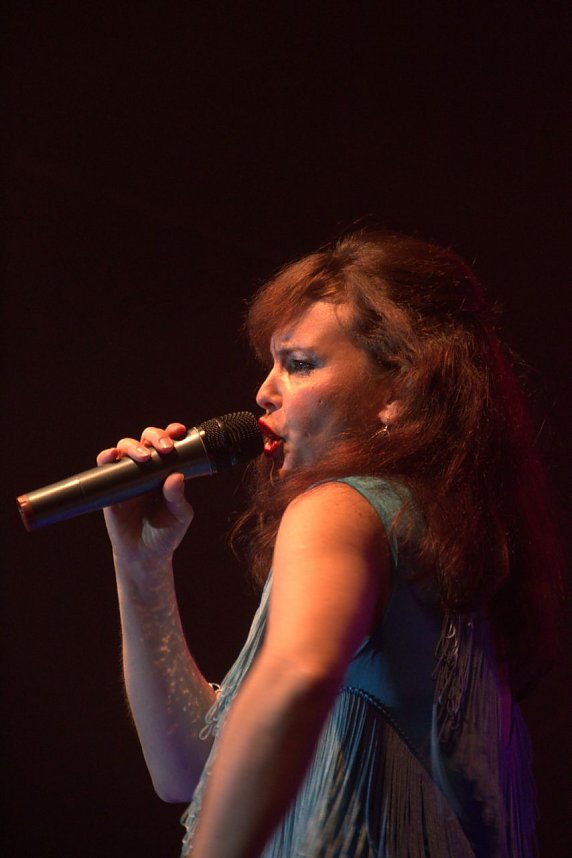 Gildefest in Quedlinburg