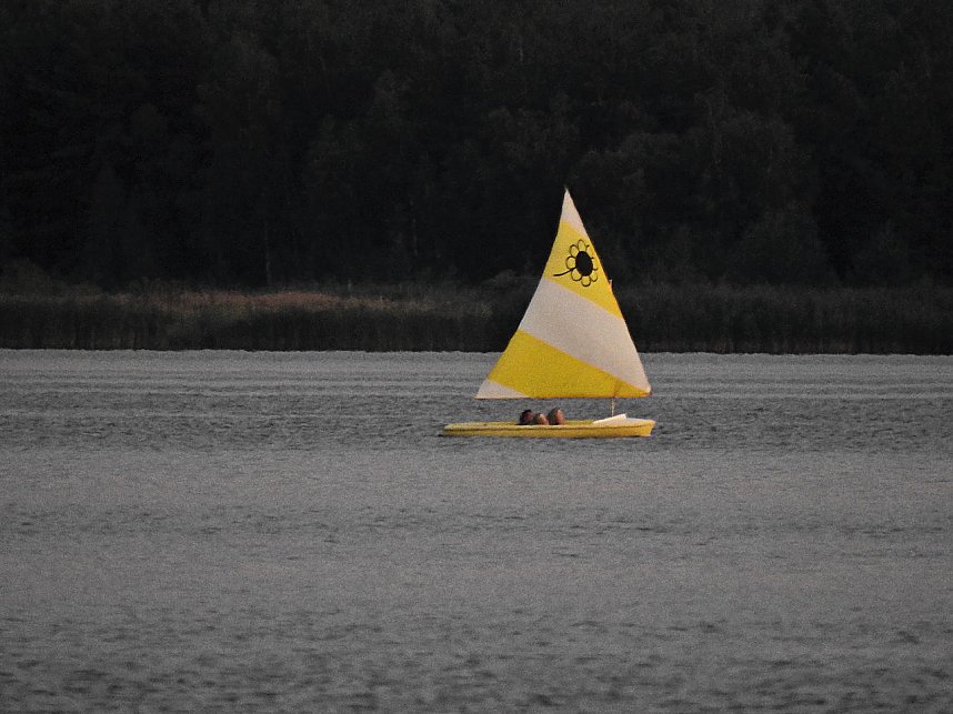 Spinnen im Mondschein am Goitzsche See