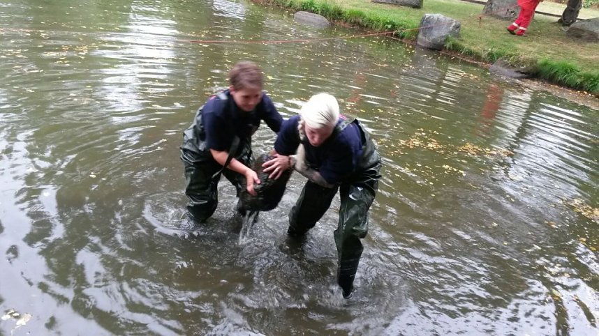140 Jahre Feuerwehr Benneckenstein