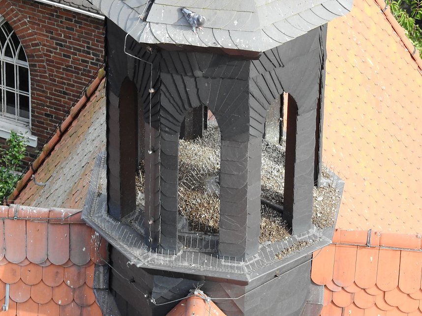 Kirche im W&ouml;rlitzer Park