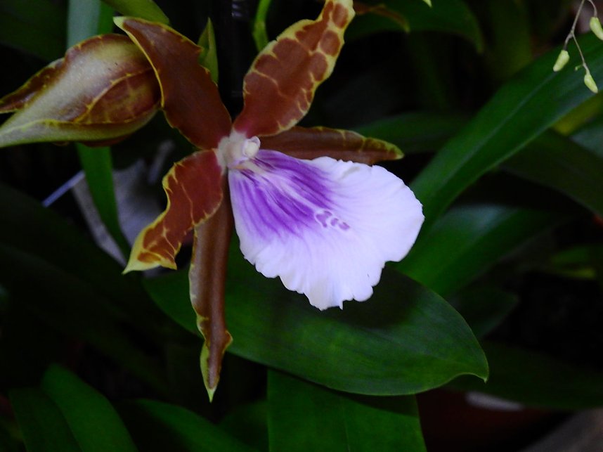 25 Jahre Keramikscheune Spickendorf