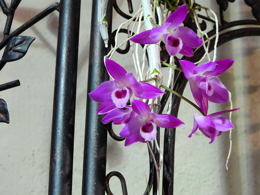 25 Jahre Keramikscheune Spickendorf