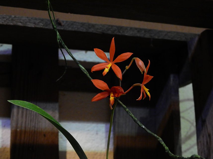 25 Jahre Keramikscheune Spickendorf