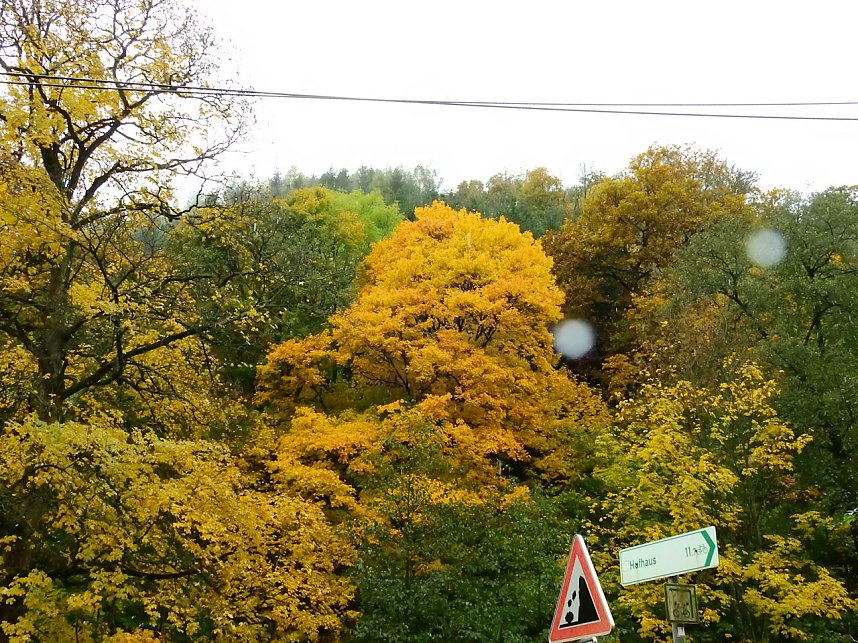 Unterwegs im sch&ouml;nen Harz