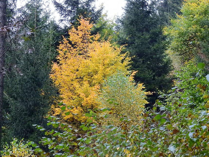 Unterwegs im sch&ouml;nen Harz