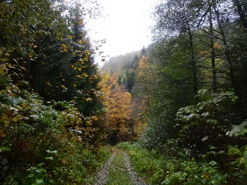 Unterwegs im sch&ouml;nen Harz