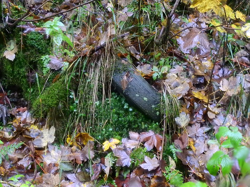 Unterwegs im sch&ouml;nen Harz