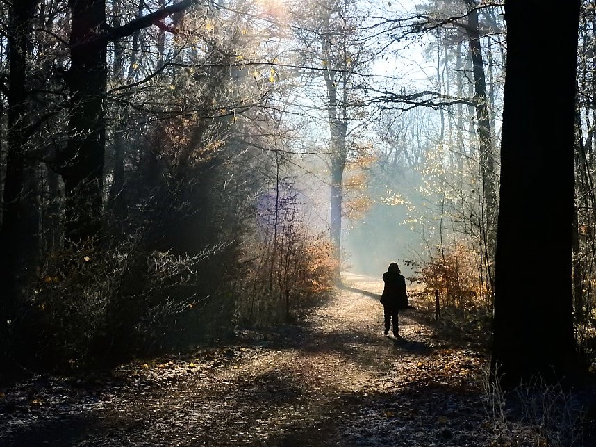 Ein Traum in Wei&szlig;