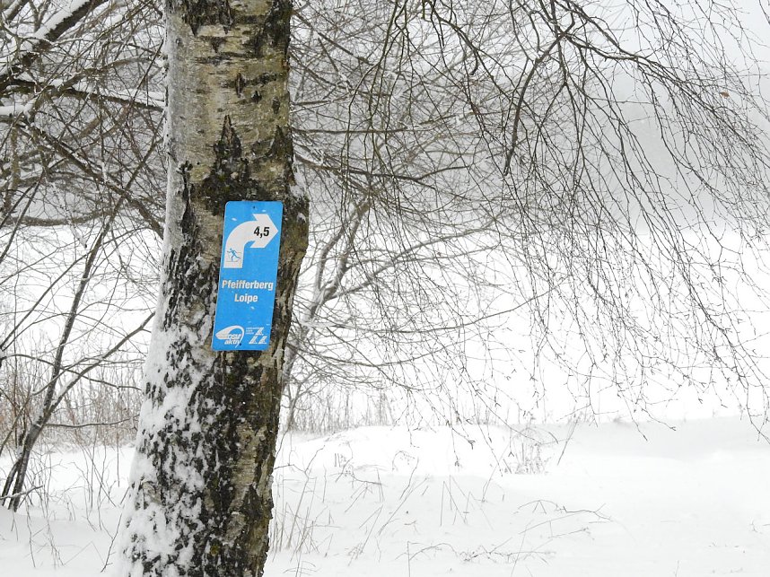 Unterwegs im winterlichen Harz