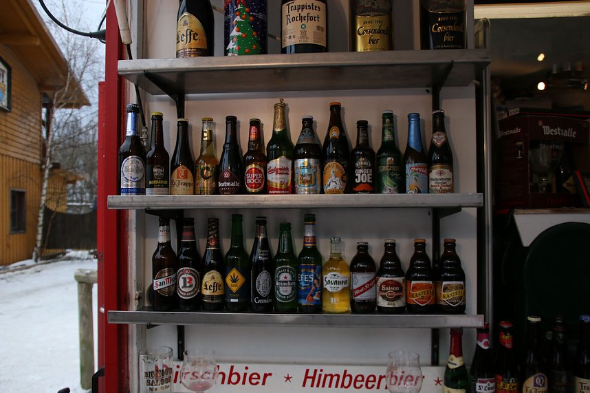 Schlittenhunderennen in Hasselfelde