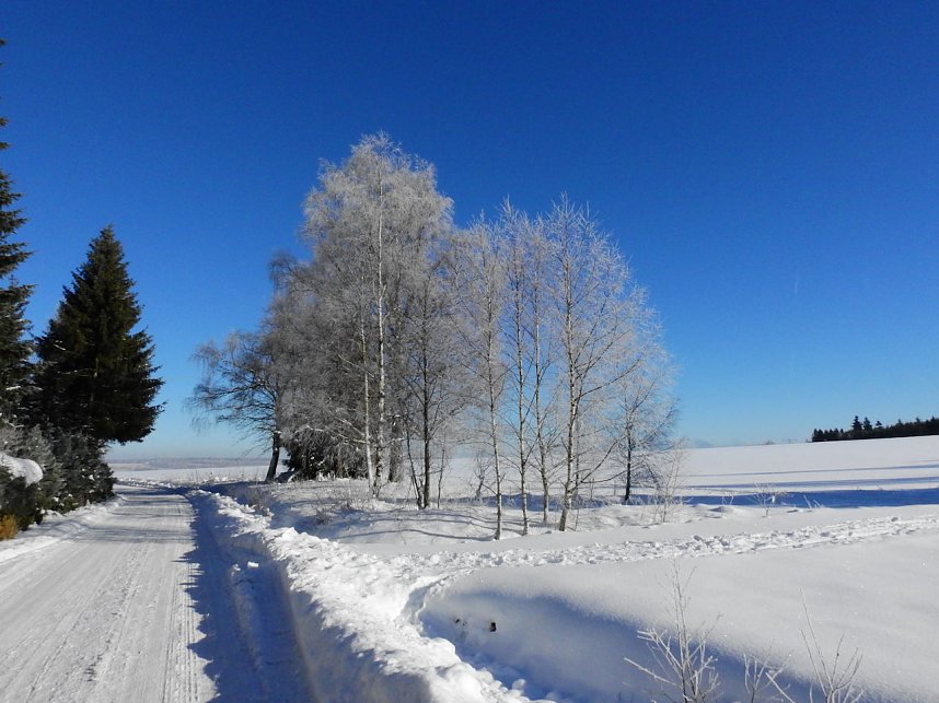 Spaziergang in Rotacker
