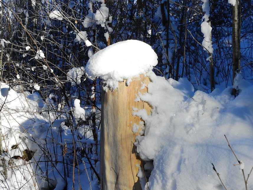 Spaziergang in Rotacker