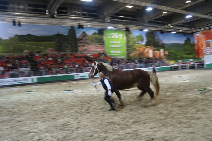 Gr&uuml;ne Woche 2017 in Berlin