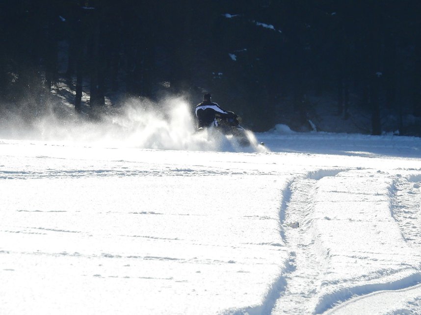Schlittenhunderennen in Benneckenstein