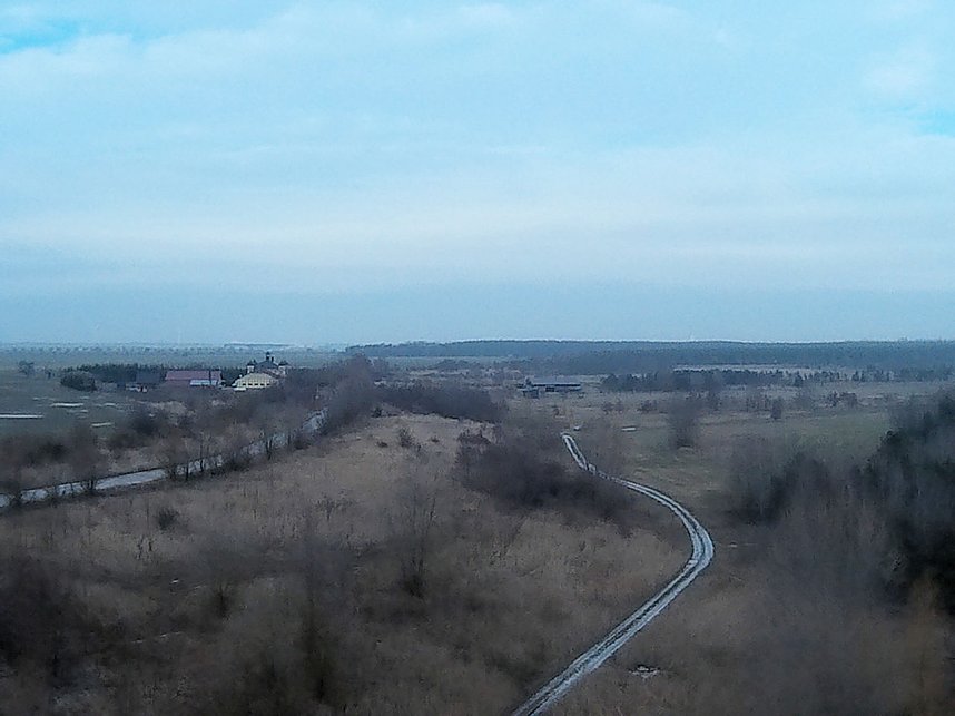 Wildg&auml;nse am K&ouml;ckernsee