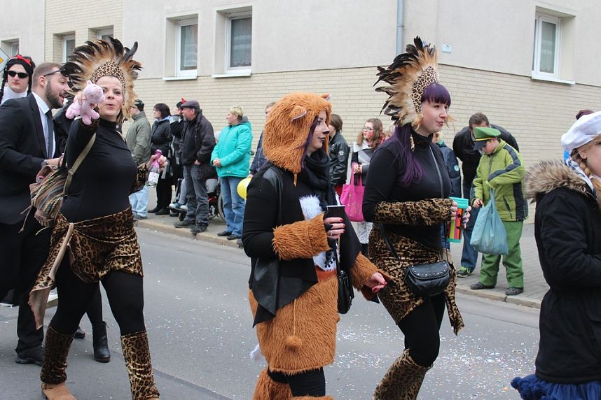 N&auml;rrinnen und Narren ziehen durch die Stadt (2)