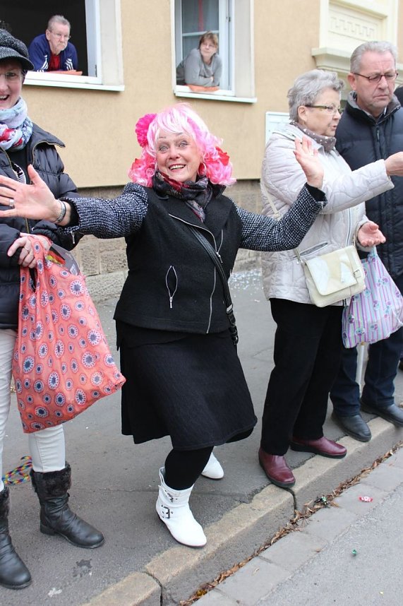 N&auml;rrinnen und Narren ziehen durch die Stadt (2)