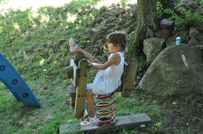 Hoffest R&uuml;dingsdorfer Schweiz