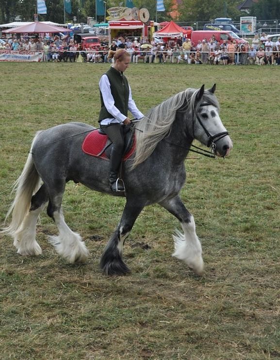 Kampf der Giganten Sundhausen