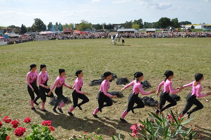 Kampf der Giganten Sundhausen