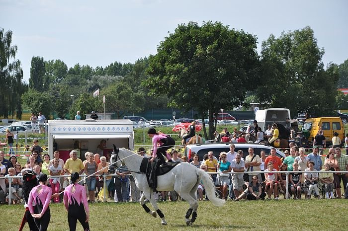 Kampf der Giganten Sundhausen