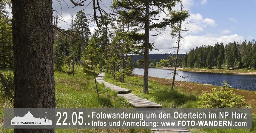 Mit dem Fotoapparat unterwegs