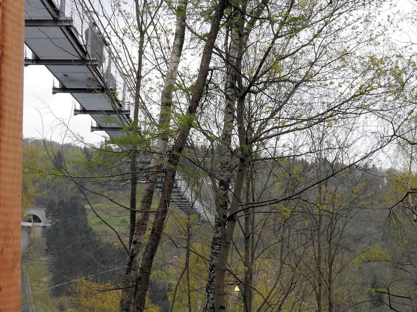 Harzdrenalin auf 458 Metern