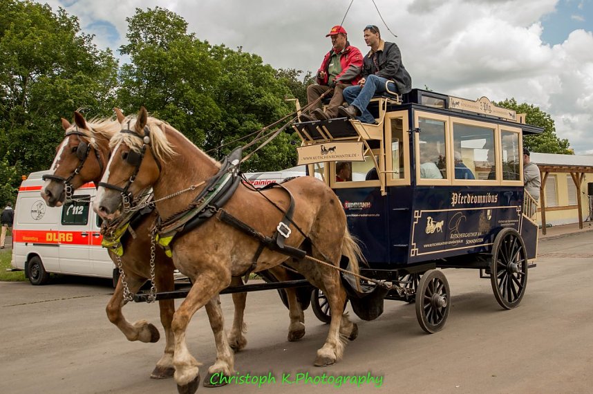 Das und mehr erwartet die Besucher am Samstag