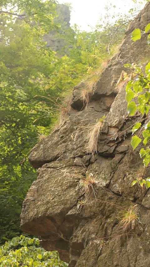 Sonntagswanderung bei Thale