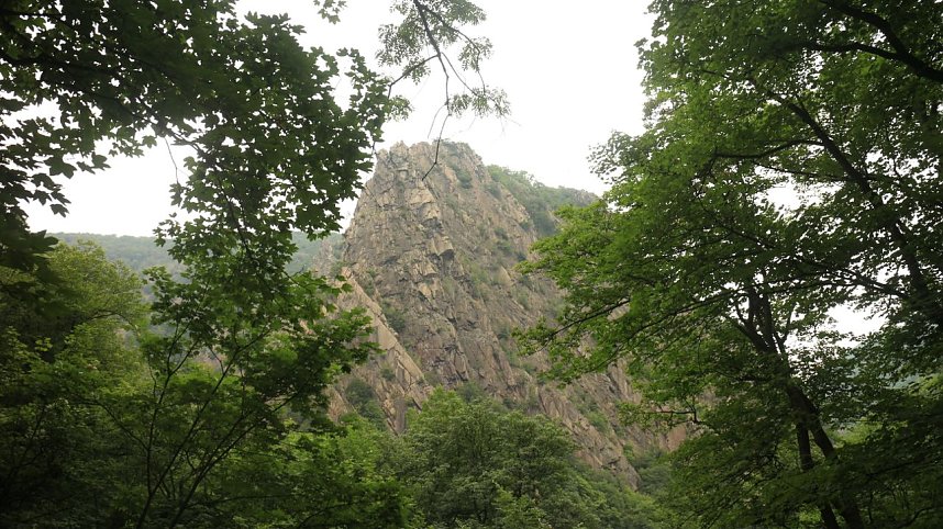 Sonntagswanderung bei Thale