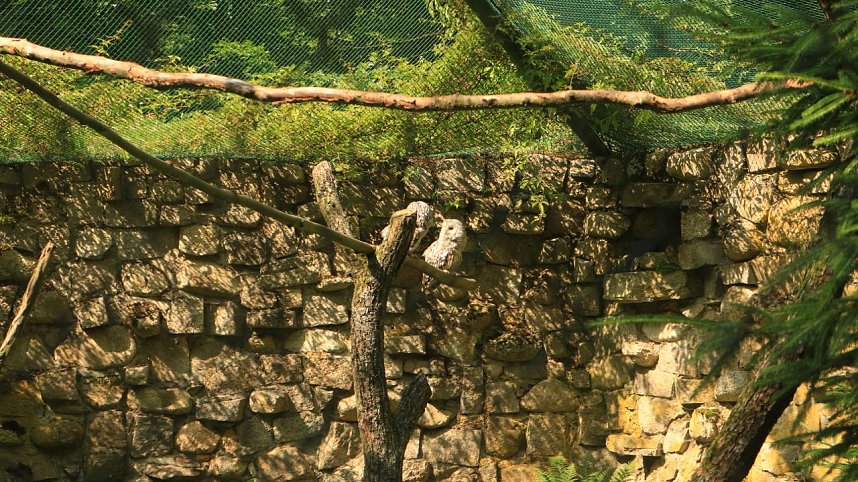 Sonntagswanderung bei Thale