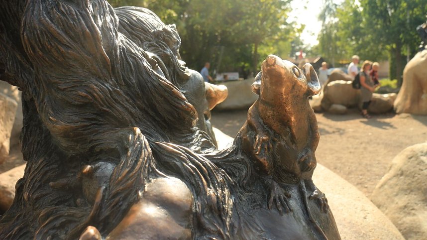 Sonntagswanderung bei Thale