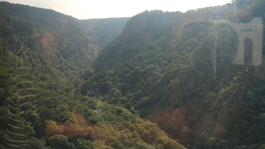 Sonntagswanderung bei Thale