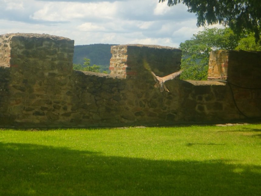 Gelebtes Mittelalter auf Burg Falkenstein