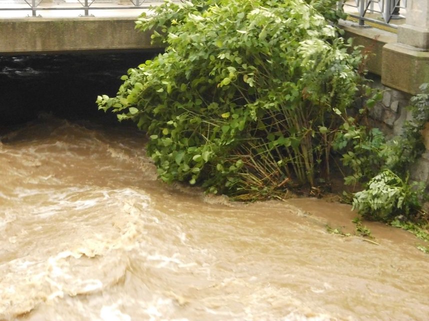 Am Mittwoch in Wernigerode