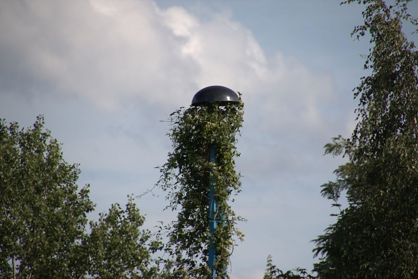 An der Piste und in der Stadt