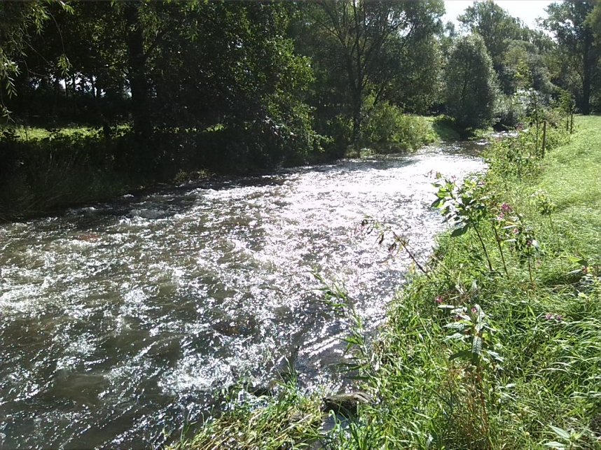 Helme, Zorge und Thyra besser sch&uuml;tzen