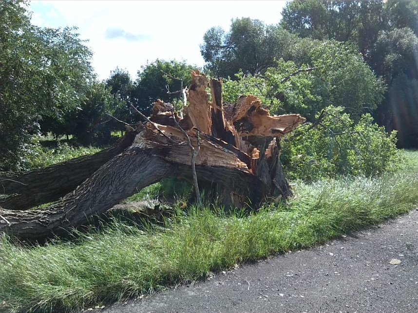 Helme, Zorge und Thyra besser sch&uuml;tzen