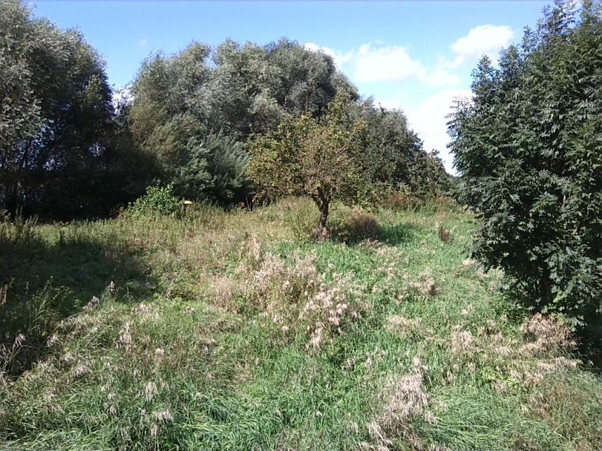 Helme, Zorge und Thyra besser sch&uuml;tzen