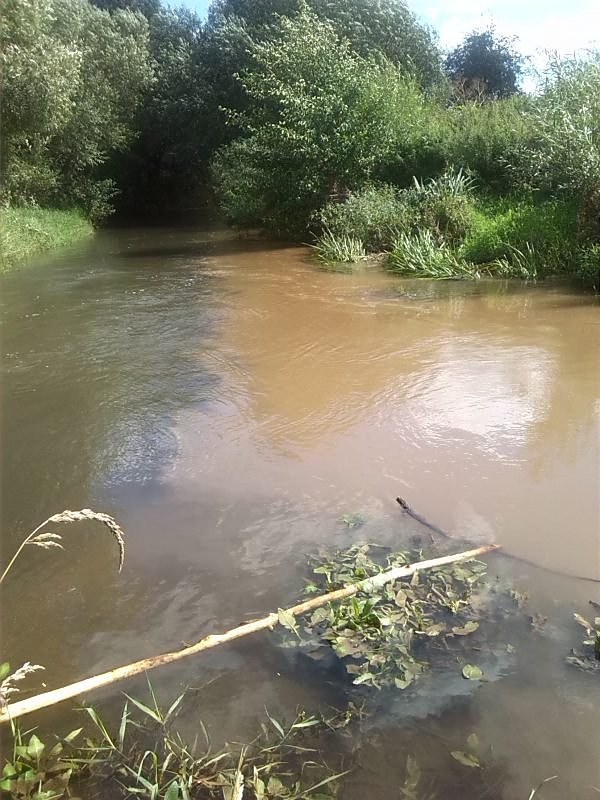 Helme, Zorge und Thyra besser sch&uuml;tzen