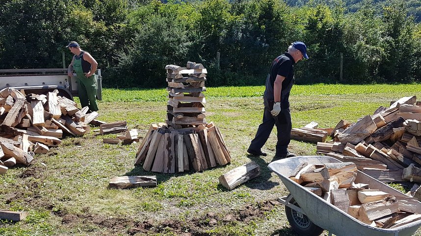 K&ouml;hlertage an der Arche Nebra