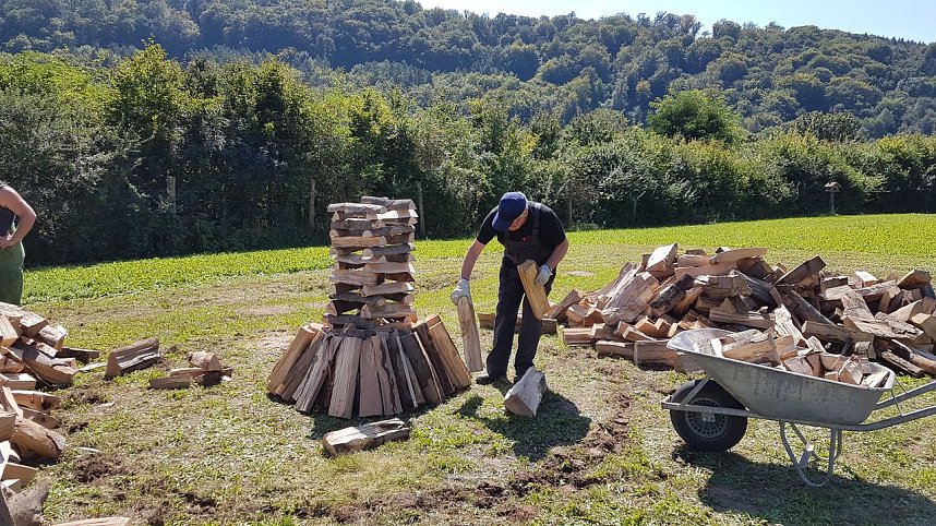 K&ouml;hlertage an der Arche Nebra