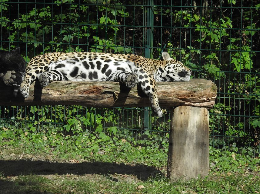 Zu Gast im Tierpark Dessau